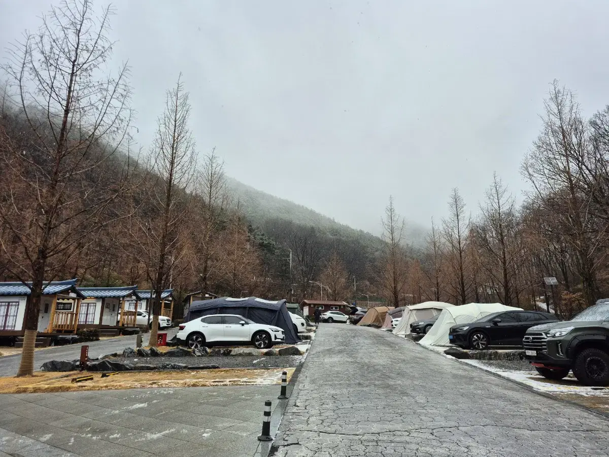 블루버켓 압축팩 삽니다